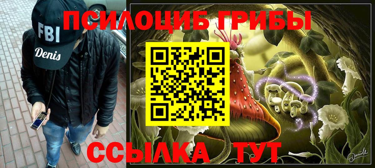 Галлюциногенные грибы прущие грибы  Вход с VPN  Светлоград  Псилоцибиновые грибы Cubensis 